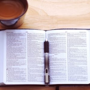 Bibel study